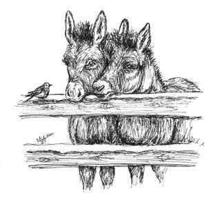 Downloadable Twin Donkeys Book Page