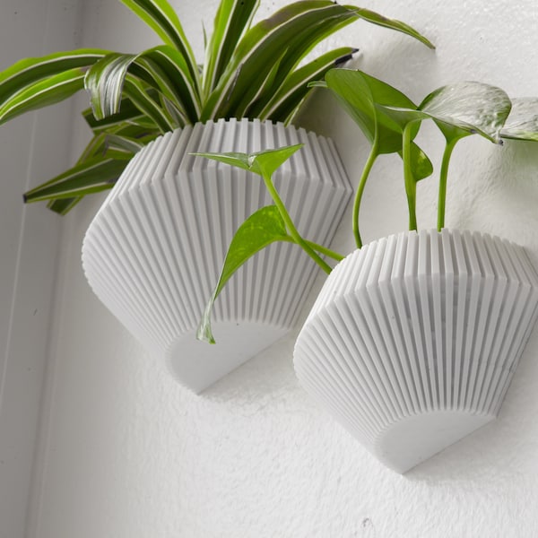 GEO (Blanc) Hanging Wall Planter,3D Printed Planter,Indoor Wall Planter