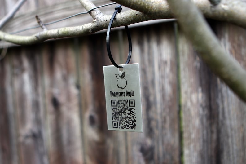 Tag With Tree Code Stainless Steel Tree Tag – Durable and Elegant Identification Solution ...