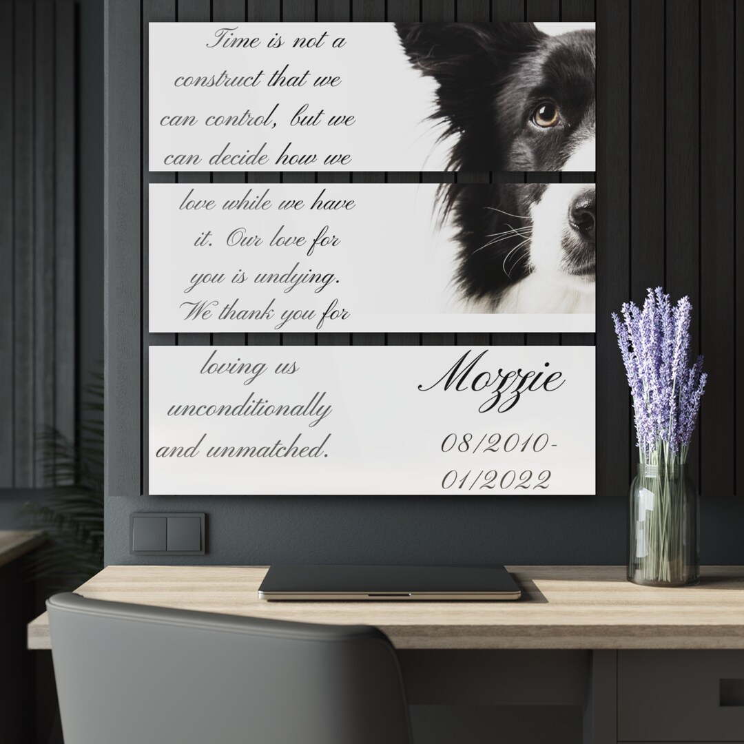 In Memory Acrylic Print, Pet Memorial Keepsake, Cat Memorial Gift Personalized, Pet Remembrance ...
