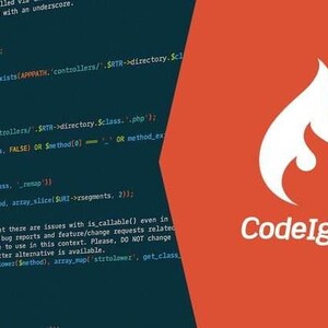 Custom Web Application Development Using CodeIgniter Framework for Fast, Secure, and Scalable Business Solutions bild 2