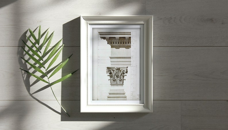 May include: A white framed print of a black and white architectural drawing of a column capital. The print is on a white wood surface with a green leaf in the foreground.