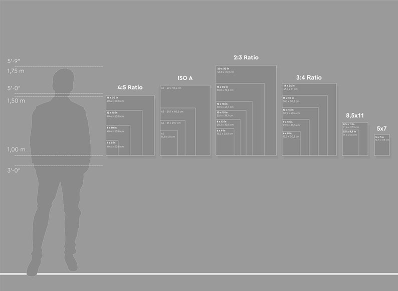 Puede incluir: Un gr&aacute;fico que muestra diferentes tama&ntilde;os de impresi&oacute;n en pulgadas y cent&iacute;metros, con una persona de pie junto al gr&aacute;fico para la escala. El gr&aacute;fico incluye los tama&ntilde;os de impresi&oacute;n ISO A, 4:5, 2:3, 3:4, 8,5x11 y 5x7.