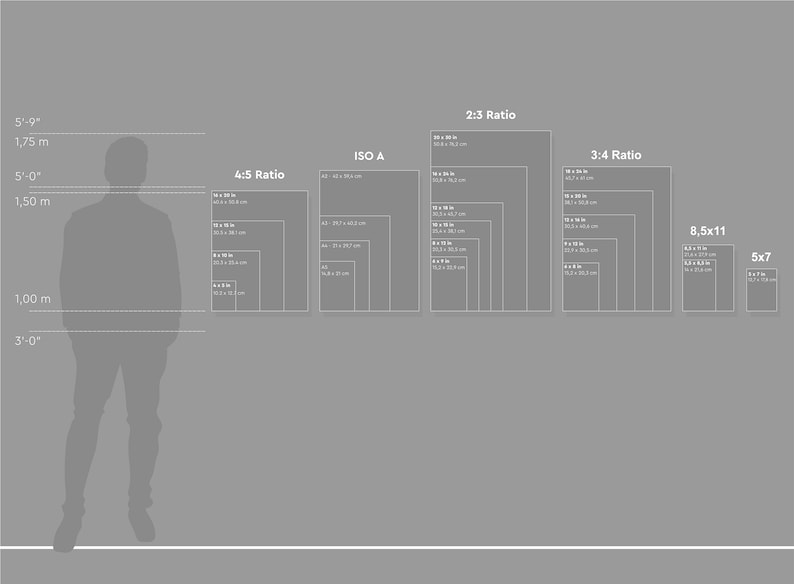 K&ouml;nnte beinhalten: Ein Diagramm, das verschiedene Druckgr&ouml;&szlig;en f&uuml;r Fotos zeigt, darunter 4:5, ISO A, 2:3, 3:4, 8,5x11 und 5x7. Das Diagramm ist mit Ma&szlig;en in Zoll und Zentimetern beschriftet.