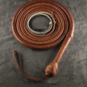 May include: A coiled, brown leather whip with a braided handle and a loop at the end. The whip is tightly wound, showcasing the intricate braiding and texture of the leather. The handle has a bulbous, woven design.
