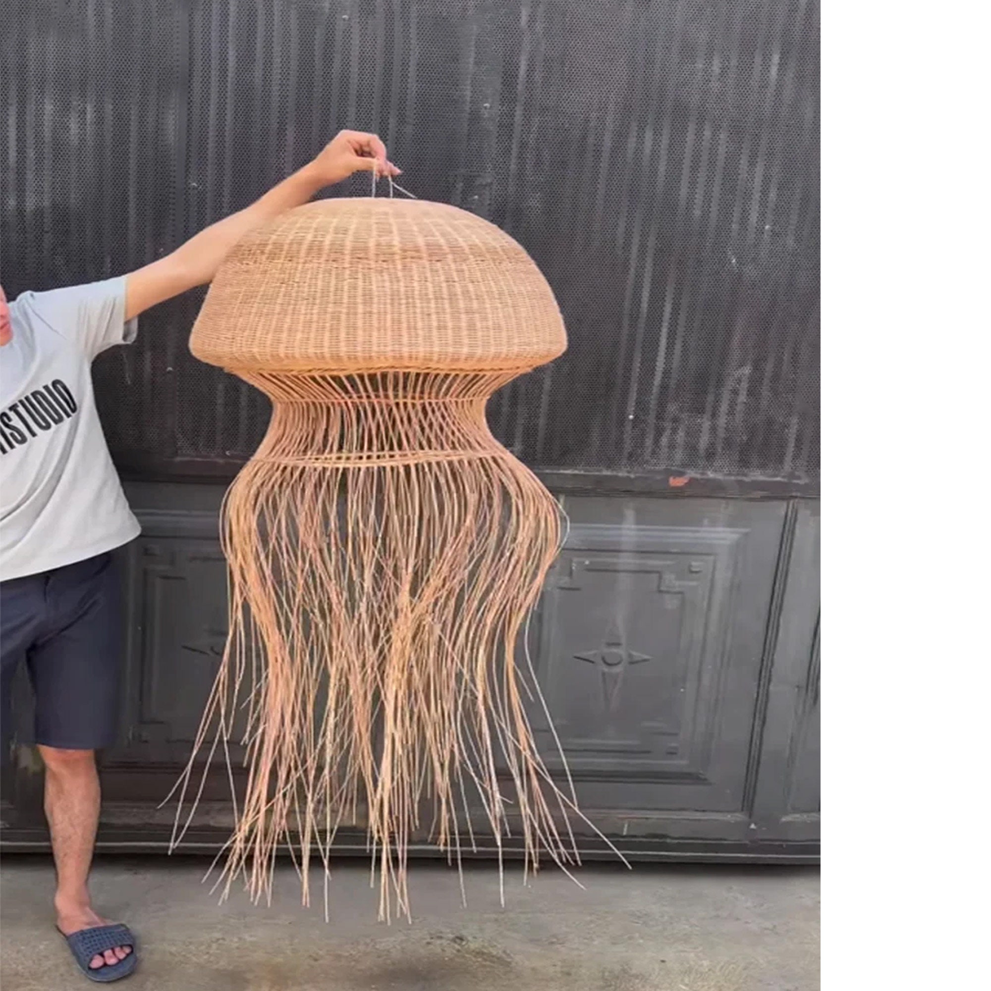 Jellyfish Lamp Hanging Rattan Fish Lamp Shade Chandelier Etsy