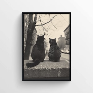 Loving Cats Poster Print – Vintage Black and White Cat Couple Wall Art – Romantic Animal Photography for Cozy Home Wall Decoration