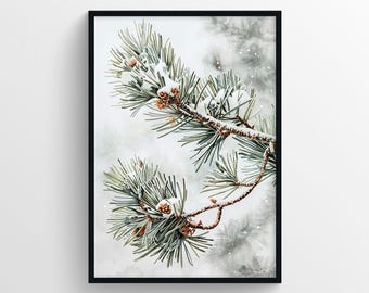 May include: A close-up of a pine branch with snow-covered needles and brown pine cones. The branch is against a white background with a light dusting of snow.