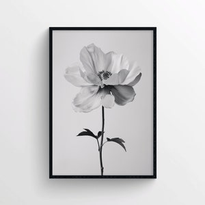 Stampa di poster con fiori bianchi – Fotografia floreale in bianco e nero – Decorazione murale minimalista con foto botanica per una decorazione moderna ed elegante