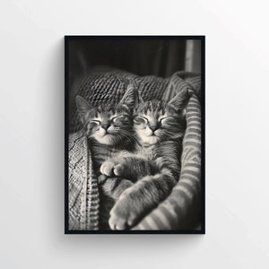 Póster vintage de gatitos adorables: arte mural de gatos en blanco y negro estilo años 50. Fotografía de gatos acurrucándose para decorar interiores acogedores.