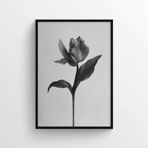 Stampa fotografica di fiori in bianco e nero – Poster floreale minimalista – Elegante decorazione murale fotografica per pareti moderne o senza tempo