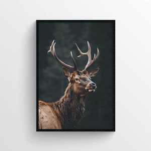 Stampa di un ritratto di alce selvatico – Fotografia naturalistica scandinava – Decorazione murale minimalista con animali per interni moderni e rustici