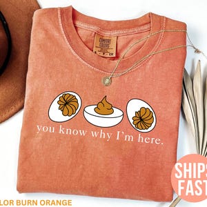 Op de afbeelding: Een oranje t-shirt met een humoristische afbeelding van drie gevulde eieren en de tekst "you know why I'm here." Het shirt is van het merk Comfort Colors.