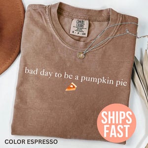 Puede incluir: Camiseta color espresso con la frase "bad day to be a pumpkin pie" en blanco. Un pequeño gráfico de una porción de tarta de calabaza está debajo del texto. Un collar plateado y un sombrero marrón también están en la imagen.