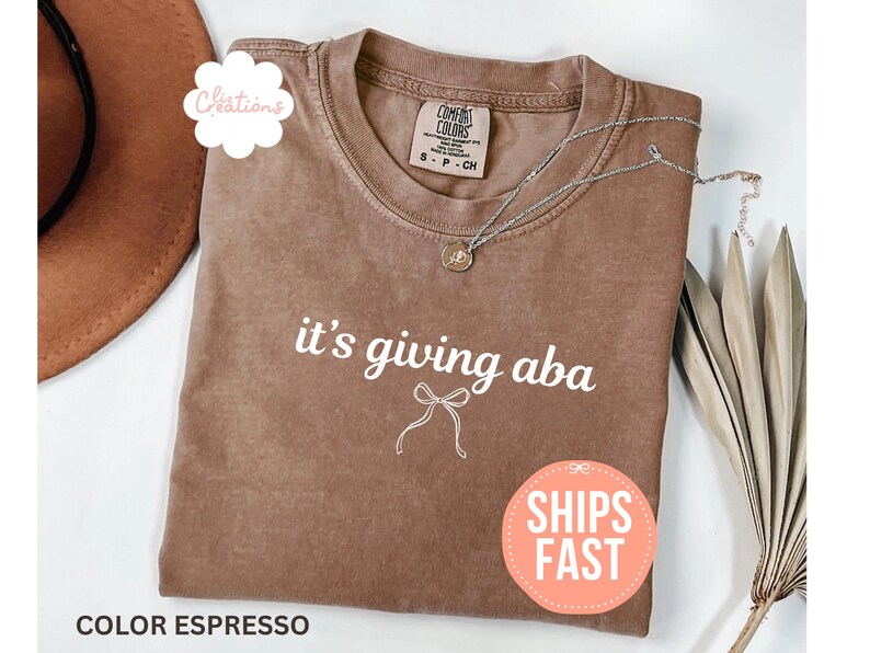 May include: A short-sleeved espresso brown t-shirt with a crew neckline. The shirt features the white text 'it's giving aba' printed above a simple white line-art illustration of a ribbon bow. The garment has a Comfort Colors brand label.