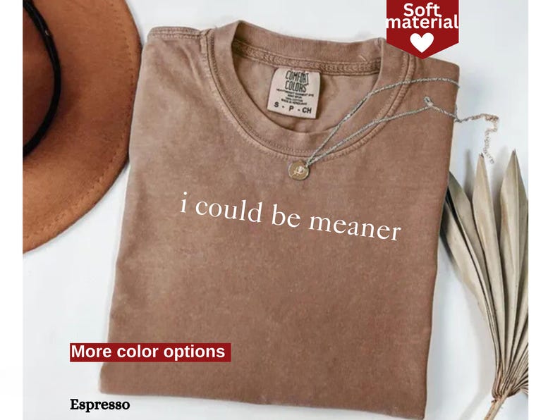 May include: A brown t-shirt with the text "i could be meaner" printed in white. The shirt is made of a soft material and has a distressed look.