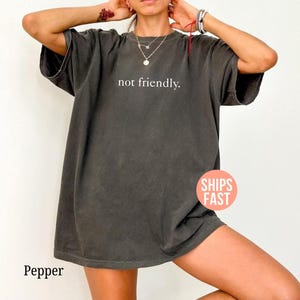 Könnte beinhalten: Ein dunkelgraues T-Shirt mit dem weißen Text "not friendly.". Das Shirt hat eine lockere Passform und kurze Ärmel. Das Wort "Pepper" ist unten links aufgedruckt.