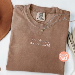 Comfort Colors® Not Friendly Do Not Touch Shirt, Funny Humor Shirt, Trendy Shirt for Women, Funny Quote Tee, Sarcastic Shirt, Sarcasm Shirt