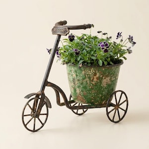 May include: A decorative metal tricycle planter with a distressed green bucket filled with purple and yellow pansies. The tricycle has a "WELCOME" sign and is made of dark metal. A charming garden accent.
