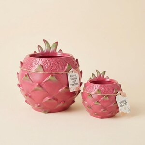 May include: Two pink dragon fruit planters with green accents. The larger planter has a tag that reads "Playful Dragon Fruit Planters." The smaller planter has a tag that reads "Unique Gift Set."