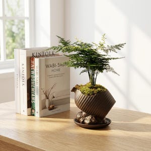 May include: A small, decorative houseplant in a brown ceramic pot with a unique, angled design. The plant sits on a matching saucer, and is surrounded by books with titles like "KINFOLK" and "WABI-SABI HOME". The plant has delicate, green, fern-like foliage.