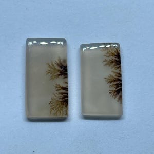 May include: Two rectangular dendritic agate cabochons with a smooth, polished surface. The stones are translucent off-white with dark brown, fern-like inclusions branching from the right side of each piece, creating a natural, organic pattern.