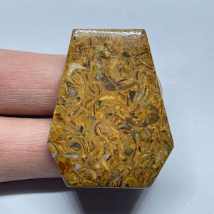 Puede incluir: Una piedra preciosa pulida, de forma trapezoidal, con un patrón único de remolinos y líneas marrones, beiges y doradas. La piedra tiene un acabado brillante y está sujeta por una mano. La piedra preciosa es probablemente para la fabricación de joyas o coleccionar.