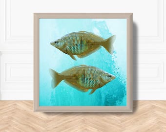 Two Fish Square Print | Coastal Ocean Wall Art, Beach House Decor