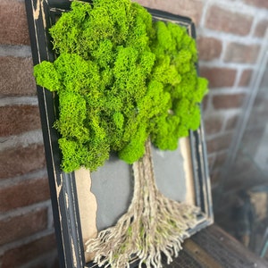 Puede incluir: Una pieza de arte de musgo enmarcada con un árbol de musgo verde y un sistema de raíces de cuerda de yute marrón. El marco es negro con un acabado desgastado.