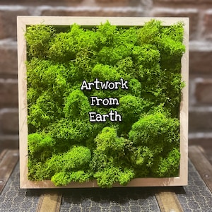 Może przedstawiać: Kwadratowy obraz ścienny w białej ramie, przedstawiający zielony wzór z mchu. Tekst "Artwork From Earth" jest nadrukowany na mchu czarnym kolorem.