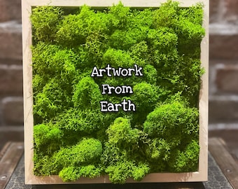 Quadro Muschio Stabilizzato - Arte Musgo