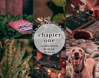 Chapter One Mobile Lightroom Preset | Aesthetic Bookstagram Filter for Instagram | Vibrant Colorful Editing for Book Blogger