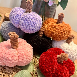 Könnte beinhalten: Eine Sammlung handgefertigter, plüschiger Kürbisse in verschiedenen Farben, darunter Rosa, Orange, Lila, Schwarz, Rot und Weiß. Jeder Kürbis hat einen braunen Stiel. Die Kürbisse sind auf einer gewebten Matte mit grünen Blättern angeordnet, was ein Herbst- oder Erntethema suggeriert.