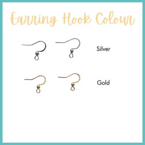 May include: Two pairs of earring hooks, one pair is silver and the other is gold. The earring hooks are shown against a white background.  Earring Hook Colour: Silver, Gold
