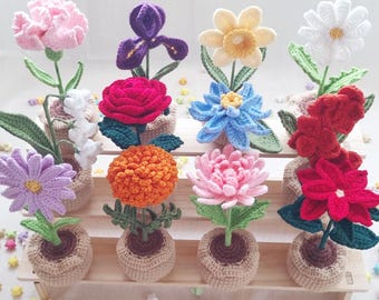 Crochet Birth Month Flower Plant Pot: Handmade Floral Decor