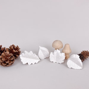 Könnte beinhalten: Ein Set aus weißen Keramik-Blättern und Pilzen, perfekt zum Basteln oder Spielen. Das Set enthält zwei verschiedene Blattformen, einen Pilz mit Stiel und einen Pilz mit Hut. Die Formen sind auf einem weißen Hintergrund mit braunen Tannenzapfen angeordnet.