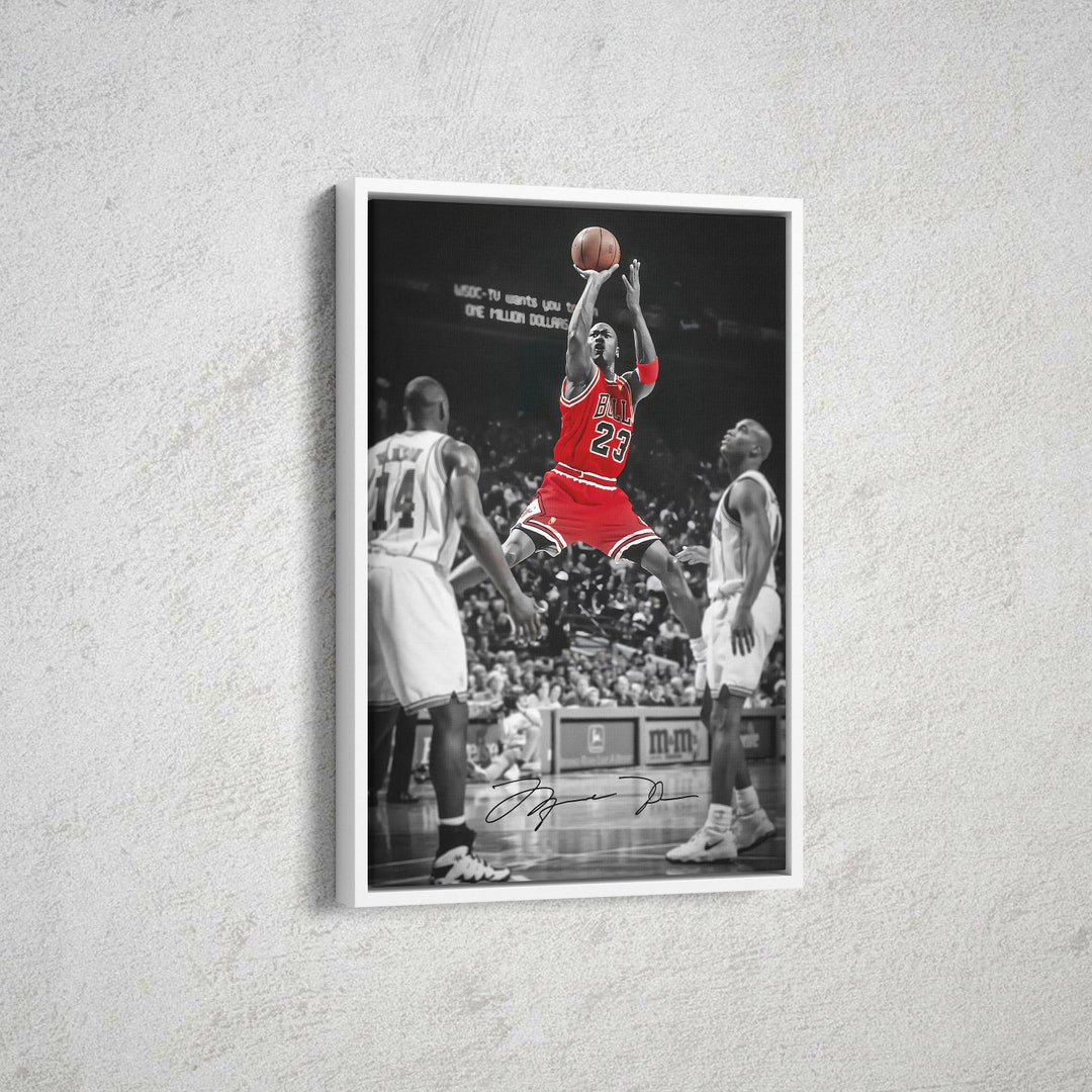 michael jordan canvas