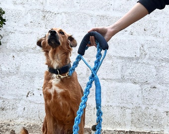 The Small Dog's Leash - Etsy