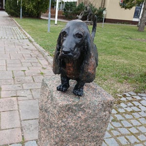 Large sculpture of a Basset Hound puppy, Basset Hound, Basset sculpture, Dog sculpture, dog portrait,  for outdoors or indoors