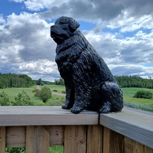 Newfoundland antique, Newfoundland sculpture, Newfoundland figure, antique dog sculpture, old rust, dog portrait