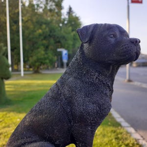 Könnte beinhalten: Schwarze Hundestatue in einem Park. Der Hund sitzt, der Kopf ist nach rechts gedreht. Die Statue hat eine strukturierte Oberfläche. Im Hintergrund sind eine grüne Topiary und Bäume zu sehen.