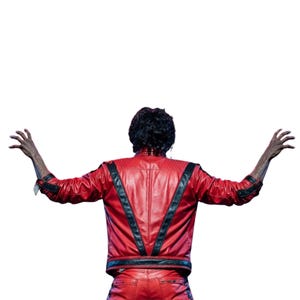 May include: A bright red leather jacket featuring prominent black V-shaped stripes on the back and shoulders, long sleeves with black accents at the cuffs, and a high collar. The jacket is worn by a person with dark hair, seen from behind.