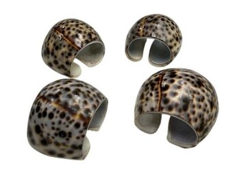 Vintage Cowrie Shell Napkin Rings Set of 4 Brown Tan Spotted Natural Beach Coast