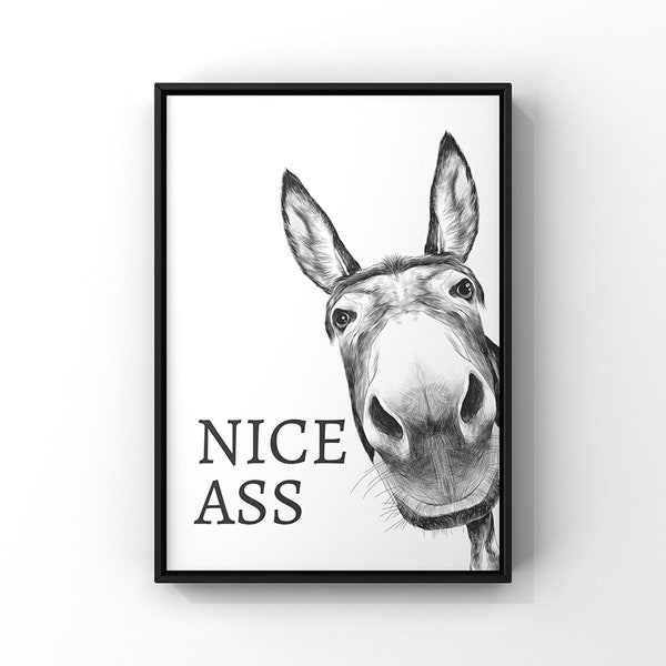 Nice Ass Canvas | Donkey Ass Print | Bathroom Decor | Prints In UK | Bathroom Prints | Wall Art Prints | Donkey Canvas | Frames Available