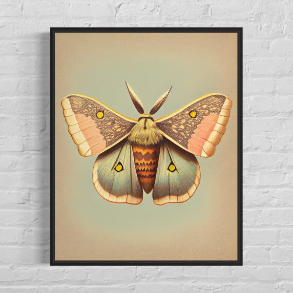 Moth Art Print - Moth vintage Poster Artwork, Moth Retro Wall Art Animal Print