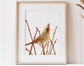 May include: A watercolor painting of a cardinal perched on a branch with red buds. The bird is facing to the right and has a red crest. The background is white.