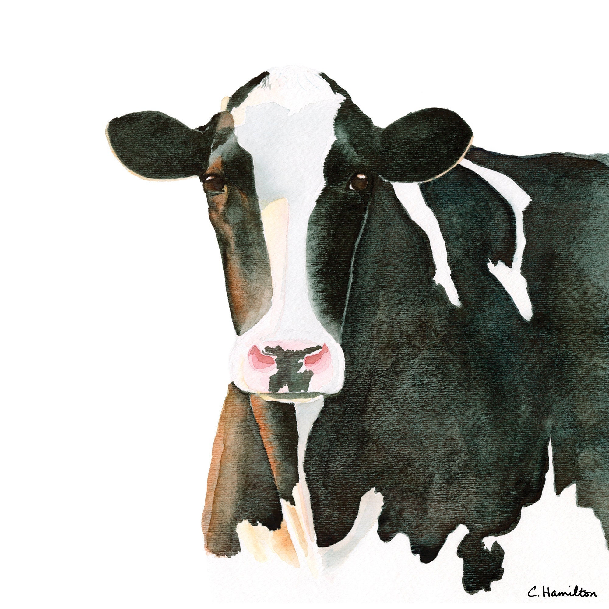 Cow Watercolor Art Print Modern Cow Art Cow Lover Gift - Etsy