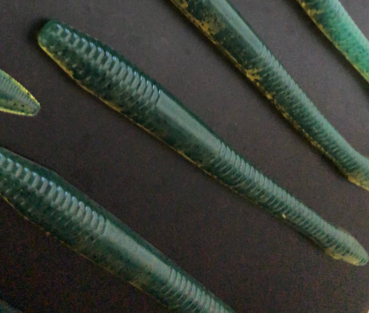 5 Jumbo Squirmy Wormy 8ct Etsy