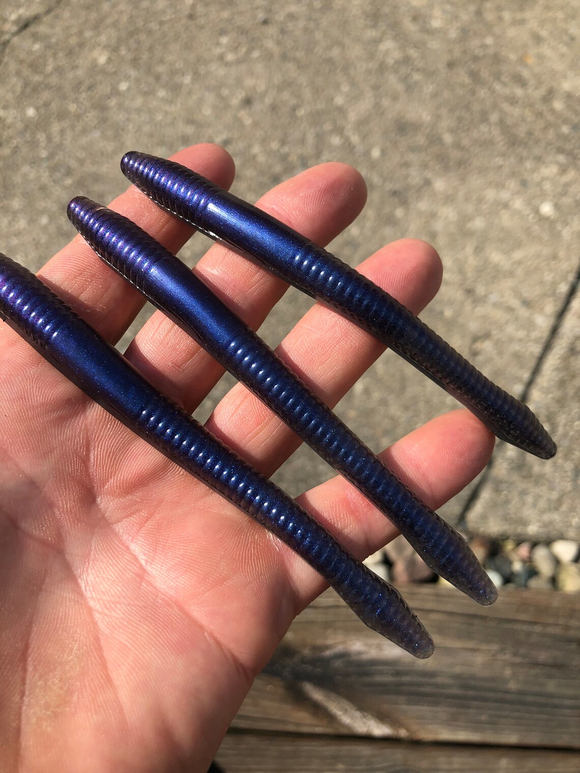 5 Jumbo Squirmy Wormy 8ct Etsy