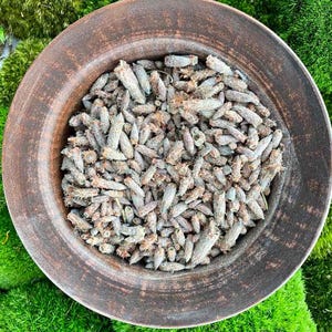 May include: A brown ceramic bowl filled with dried pine cones. The bowl is sitting on a bed of green moss.